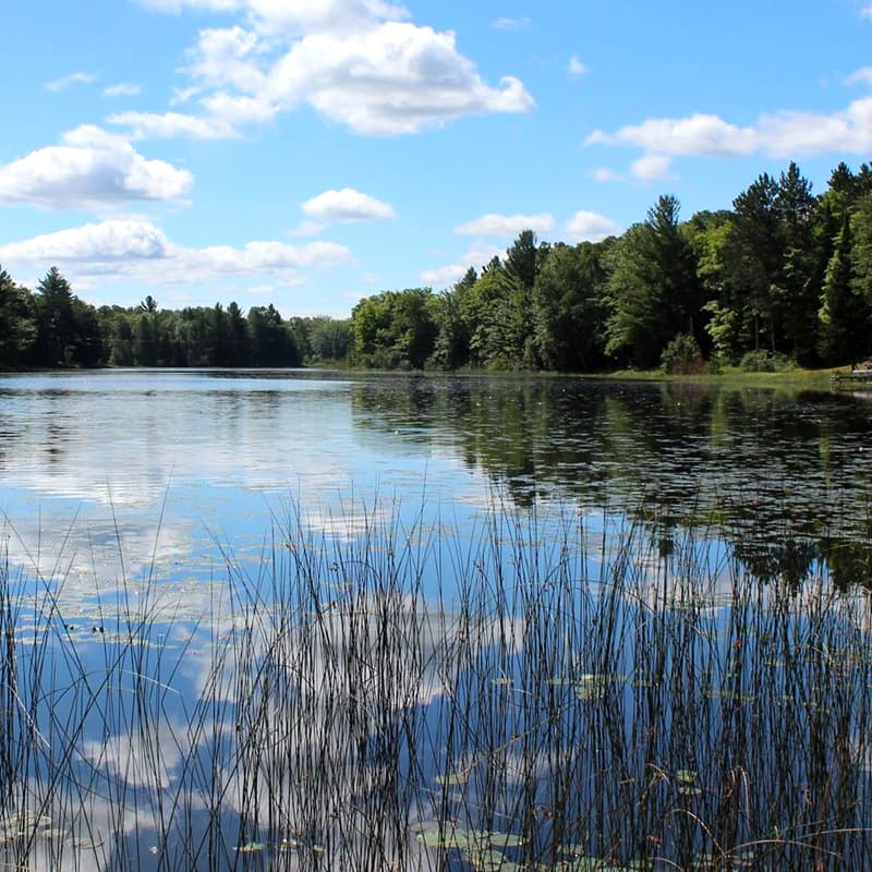 Grass River Natural Area